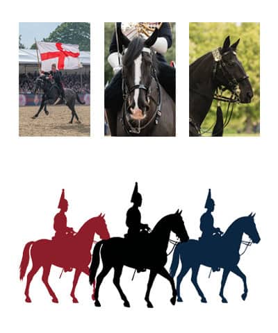 Horses of the Household Cavalry exhibition