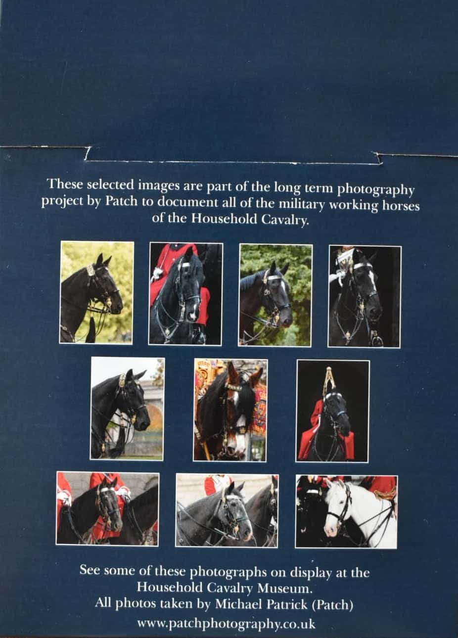 Household Cavalry Horses Postcard Pack