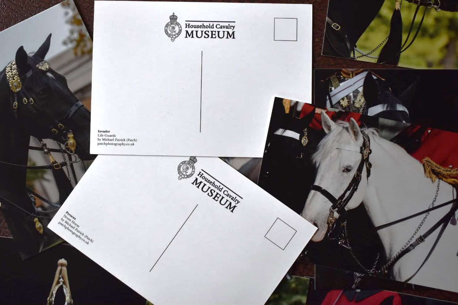 Household Cavalry Horses Postcard Pack