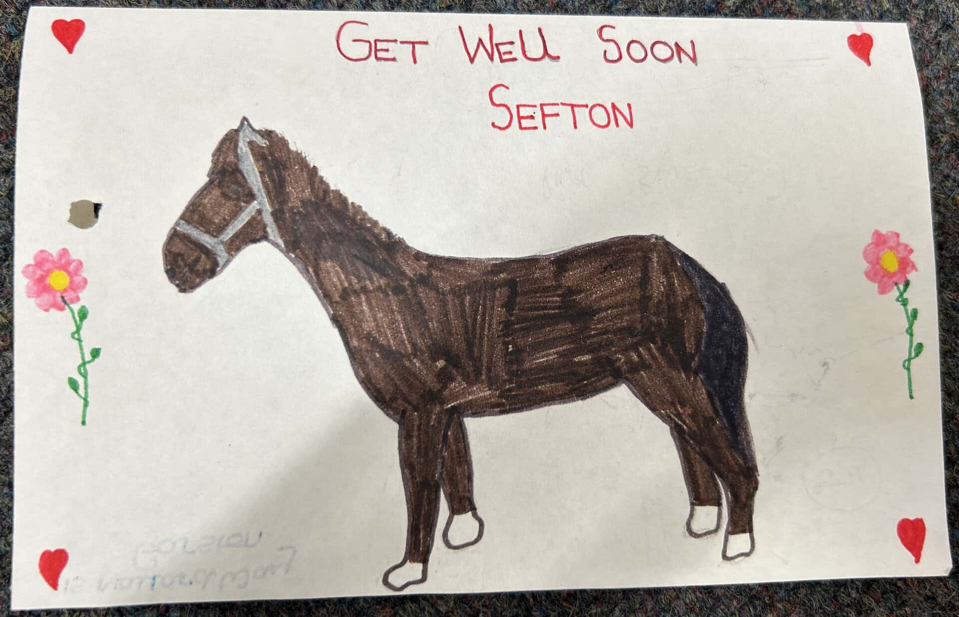Sefton's Story: Courage in the Face of Tragedy